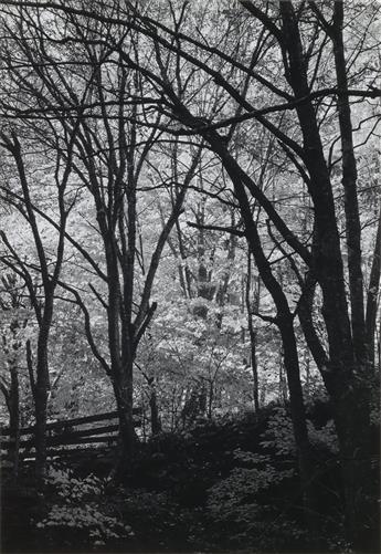 GEORGE A. TICE (1938- ) Peekamoose Portfolio.
